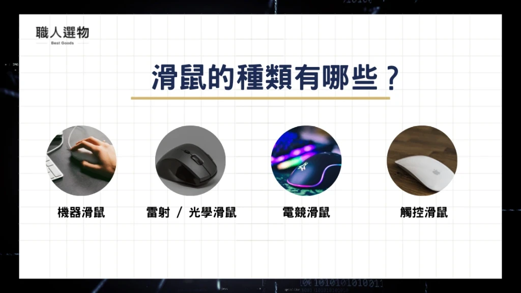 滑鼠的種類有哪些？