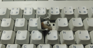 鍵盤手感特殊？阿娘喂原來底下躲一隻蛞蝓-職人選物