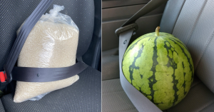 為什麼要幫西瓜白米繫安全帶？-職人選物