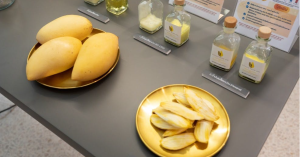 芒果除了好吃還能幹麼？做家飾品-職人選物