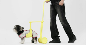 毛孩智慧型穿帶裝置 體貼年邁狗狗散步-職人選物