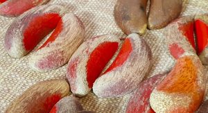 2024過年禁忌有哪些?不可以洗衣服、剪頭髮、倒垃圾、除夕初一初二初三注意事項懶人包-職人選物