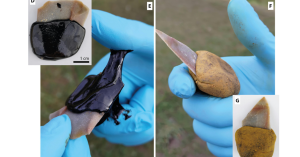 研究表示尼安德塔人除了已知用火 對黏合劑還略懂略懂-職人選物