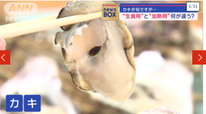 決定牡蠣生吃和熟食不是因為新鮮度,而是…-職人選物