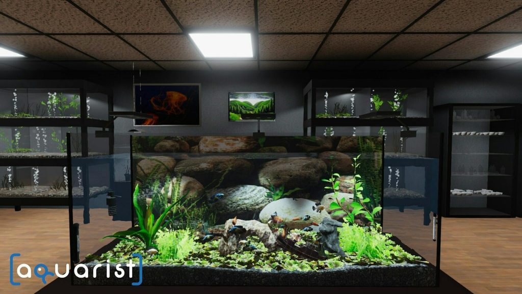 圖片[12]-Steam水族箱建造Aquarist 經營水族館打造水族缸 造景、魚種選擇全都自己來 - 職人選物-職人選物