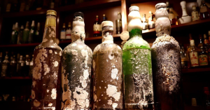 全球首個可透過手機遠端觀看海底釀造酒服務-職人選物