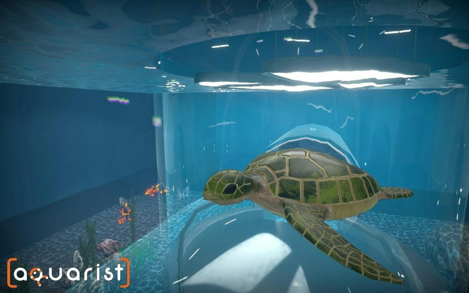 圖片[7]-Steam水族箱建造Aquarist 經營水族館打造水族缸 造景、魚種選擇全都自己來 - 職人選物-職人選物