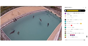 問：誰在直播讓捐款爆增網站當掉？答：海豹-職人選物