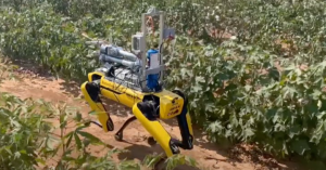 烈日下拔草有解 犬形機器人減輕人類的負擔-職人選物