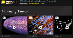 密集恐懼者別看 Nikon顯微攝影比賽得獎作品大公開-職人選物