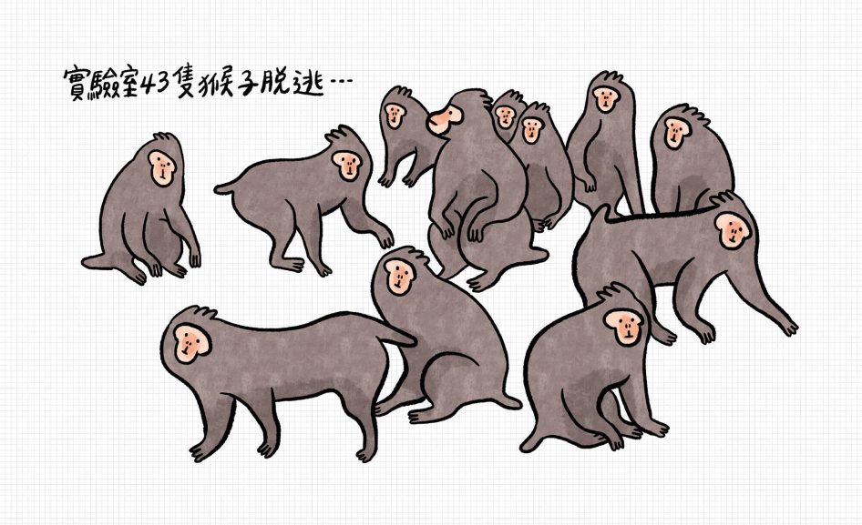 美國43隻猴子從實驗室中脫逃 要小心會說話叫做凱撒的猴子 - 職人選物-職人選物