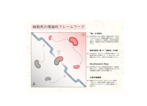 東京大學發表以數學定義細胞死亡的論文，論述細胞跨越三途川的定義-職人選物
