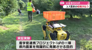 四足仿生機器狗幫果農山坡運柚 農民:意外好操作-職人選物