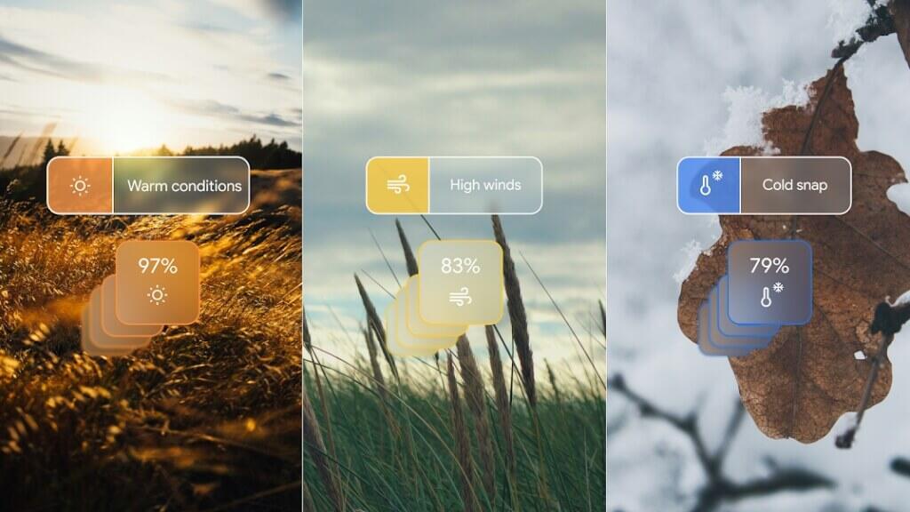 Google發表全新AI天氣模型 可準確預測15日內天氣 - 職人選物-職人選物